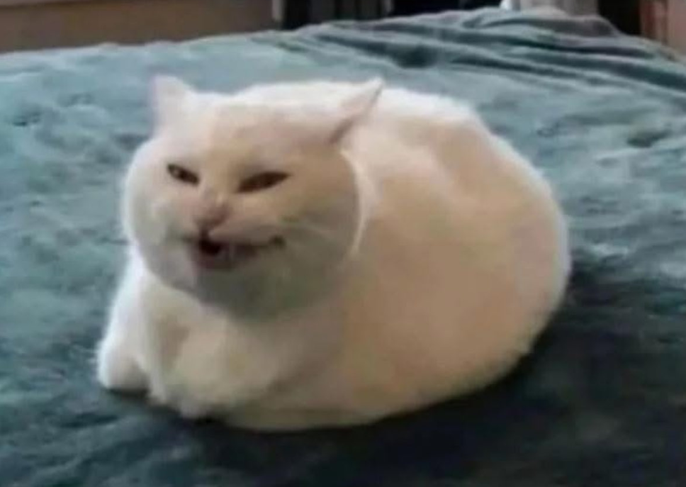 demonic cat