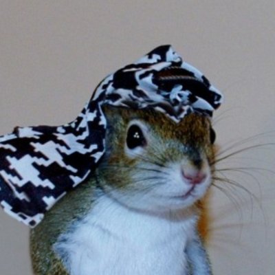 Sugar Bush the Squirrel