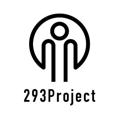 293 JAPANESE ODYSSEY
