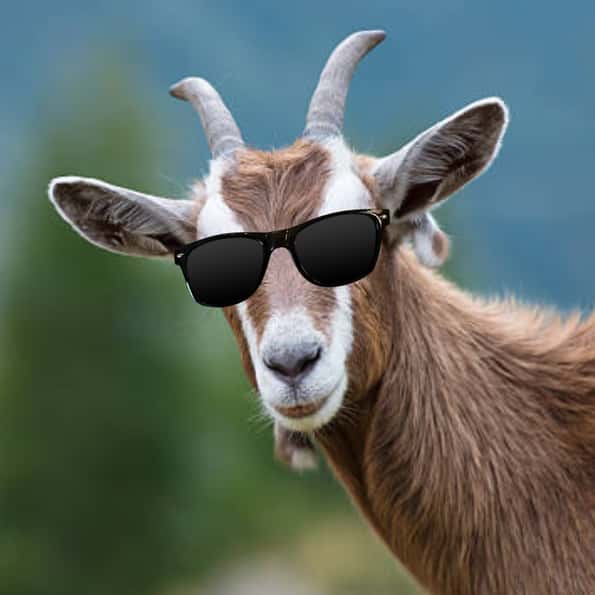 GOAT ADVENTURE HERO